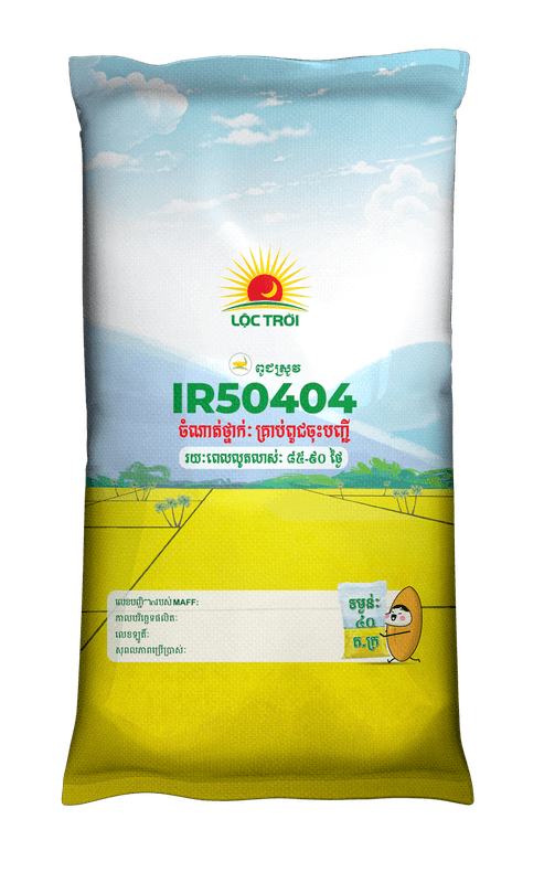 IR50404 NC