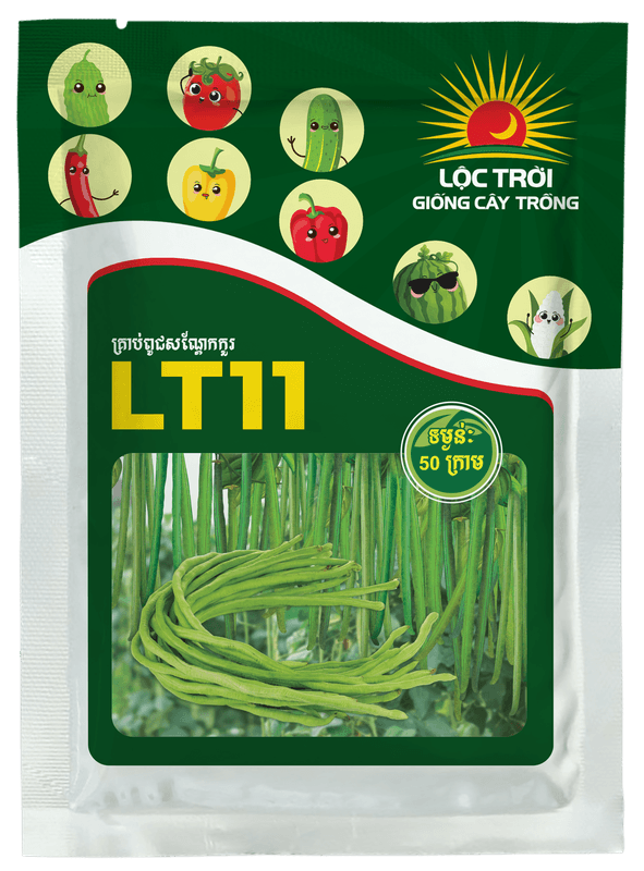 LT11