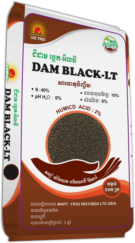 DAM BLACK-LT