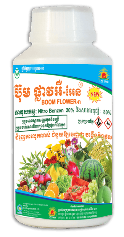 BOOM FLOWER-n