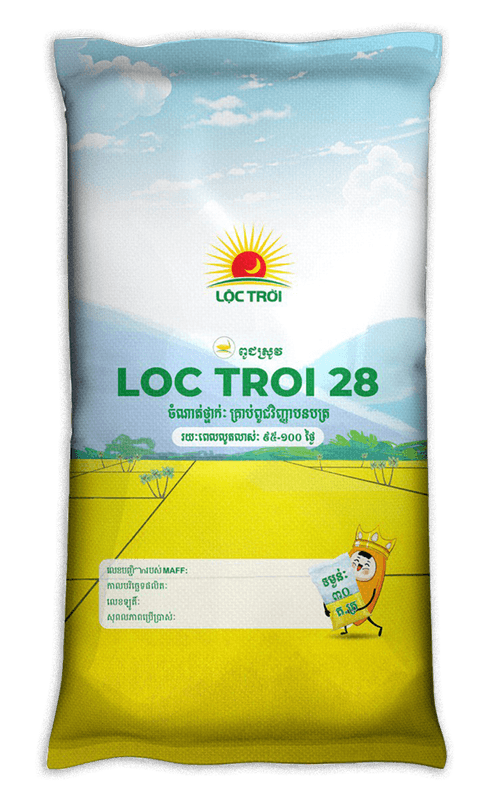 LTC-LOC TROI 28