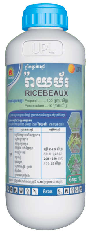 RICEBEAUX | Loc Troi Cambodia