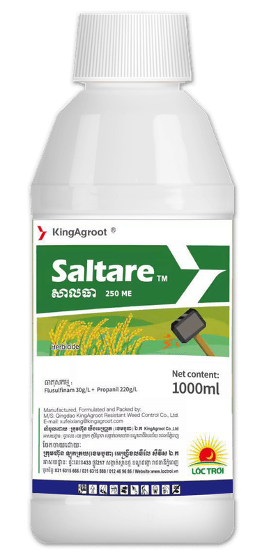 SALTARE | Loc Troi Cambodia
