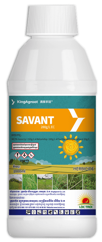 SAVANT | Loc Troi Cambodia