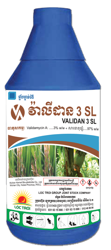 VALIDAN 3 SL