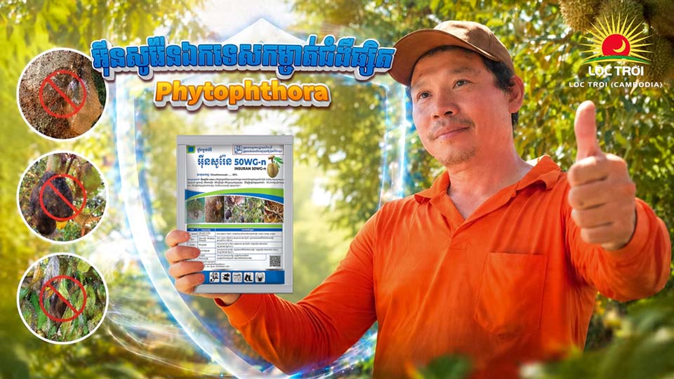 Loc Troi Cambodia Banner 2