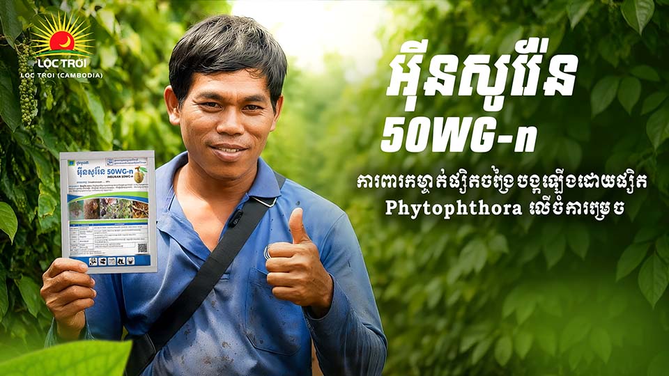 Loc Troi Cambodia Banner 3